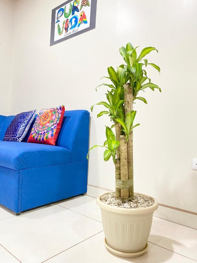 אלאג'ואלה Pura Vida Apartment. 5 Min From Airport מראה חיצוני תמונה
